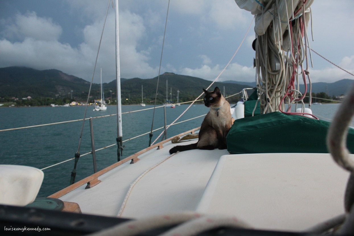 Was tun bei Seekrankheit? 3 Was tun bei Seekrankheit