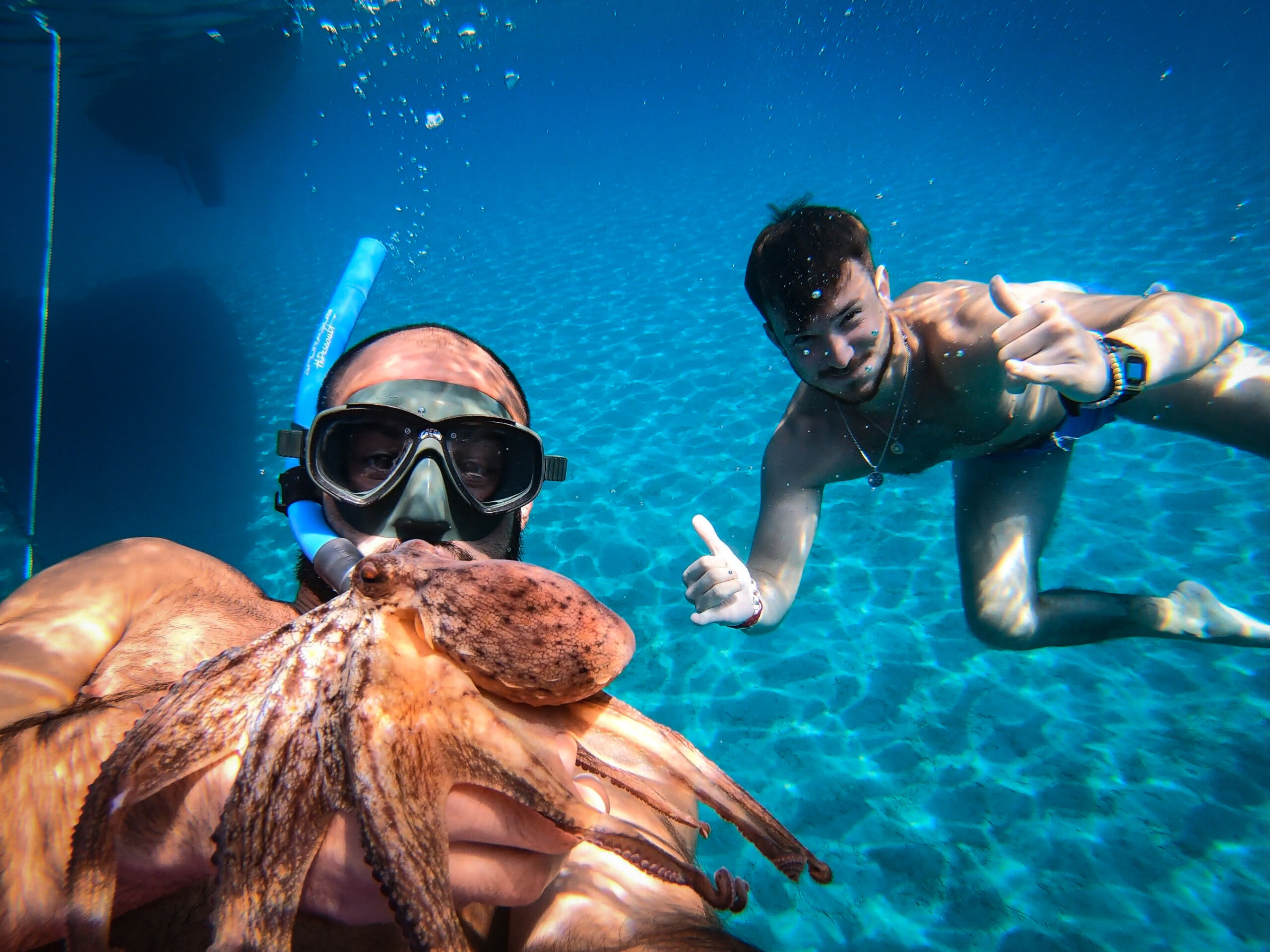 Schnorcheln in Kroatien: Das sind die Top 5 Hotspots 1 GPTempDownload scaled