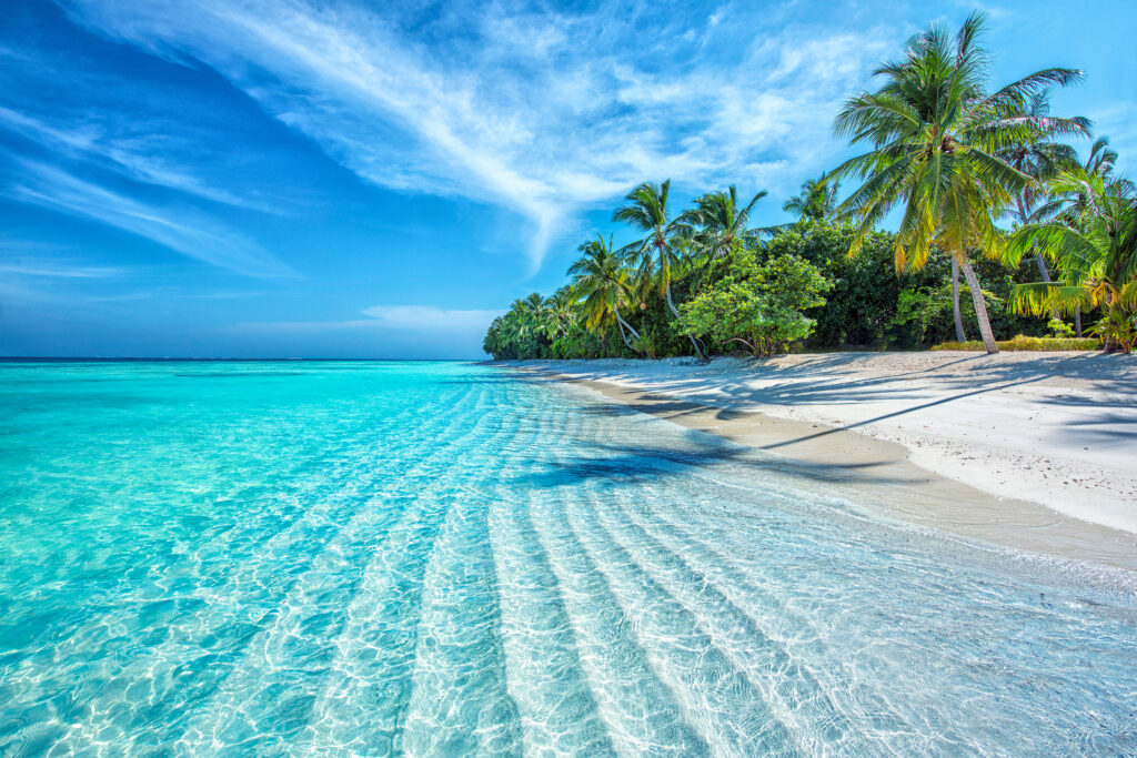 This is a picture of a hidden beach in the Caribbean, surrounded by palm trees and crystal-clear water. It was taken during the dry months, the best time to sail in the Caribbean